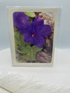 Purple Petunia Photo Card