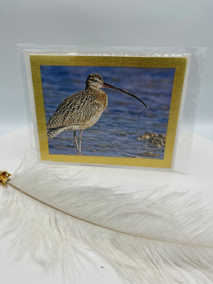 Gold Metallic Matted Sandpiper Photo Card